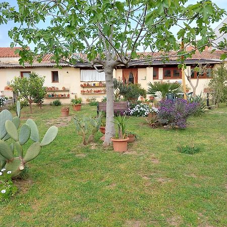 Garden Rooms Olbia Exterior foto