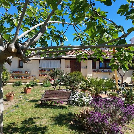 Garden Rooms Olbia Exterior foto